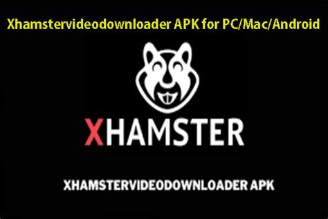 xhamaster video downloader|xHamster Downloader: Free Download xHamster Video Online